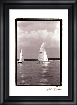 Framed Ocean Breeze III Print