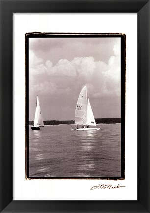 Framed Ocean Breeze III Print