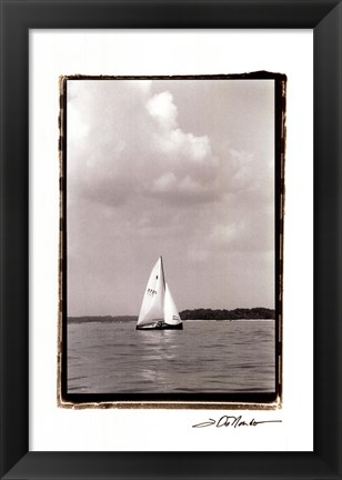 Framed Ocean Breeze IV Print