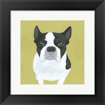 Framed Miss Pickles Print