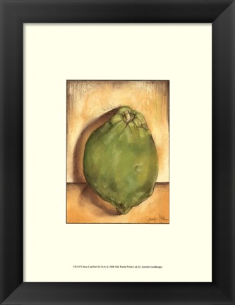 Framed Citrus Comfort III Print