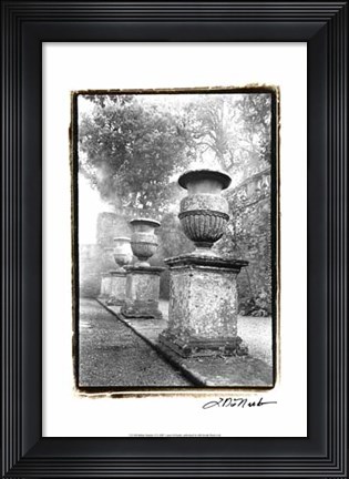 Framed Italian Garden II Print