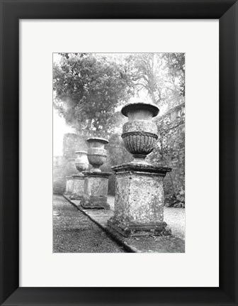 Framed Italian Garden II Print
