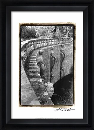 Framed Italian Garden III Print