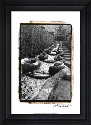 Framed Italian Garden IV Print