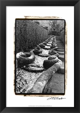 Framed Italian Garden IV Print