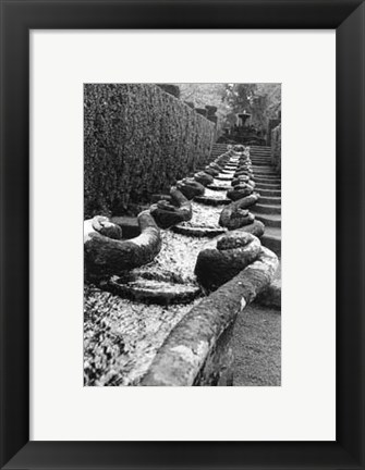 Framed Italian Garden IV Print