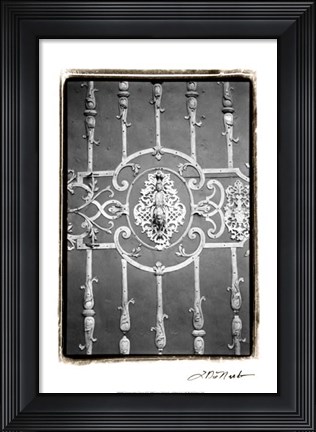 Framed Distinguished Doors II Print