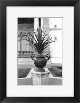 Framed Royal Urn I Print