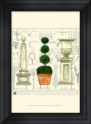 Framed Garden Topiary Print