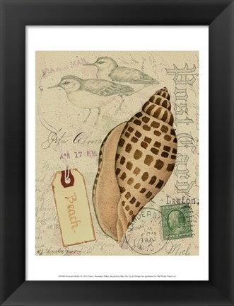 Framed Postcard Shells I Print