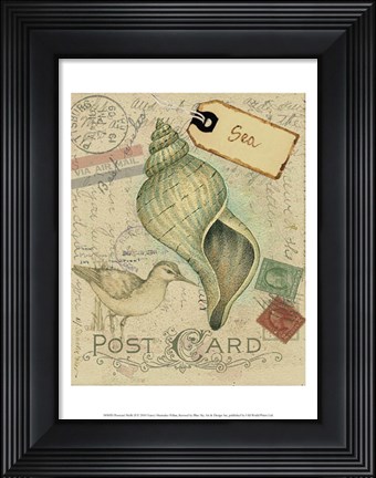 Framed Postcard Shells II Print