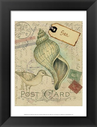 Framed Postcard Shells II Print