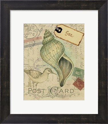 Framed Postcard Shells II Print
