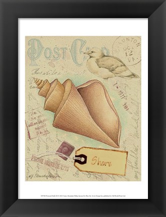 Framed Postcard Shells III Print