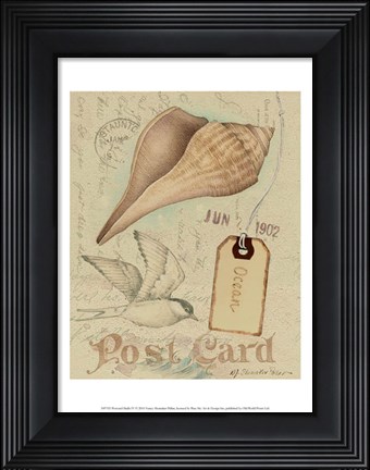 Framed Postcard Shells IV Print