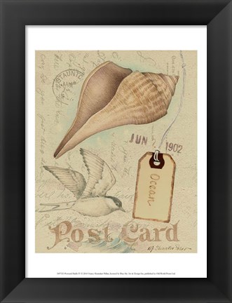 Framed Postcard Shells IV Print