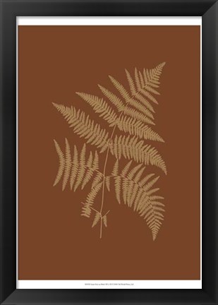 Framed Sepia Ferns on Brick (WG) III Print