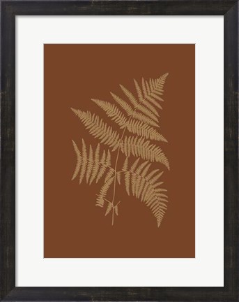 Framed Sepia Ferns on Brick (WG) III Print