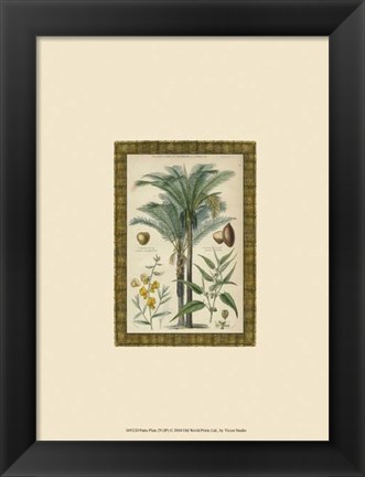 Framed Palm Plate 29 (IP) Print
