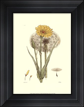 Framed Antique Floral Plate VI Print