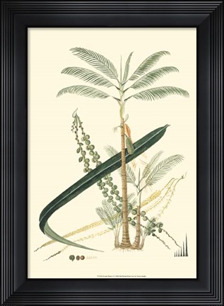Framed Exotic Palms I Print