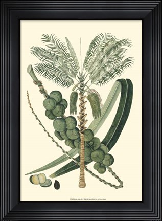 Framed Exotic Palms IV Print