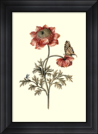 Framed Flora &amp; Fauna IV Print
