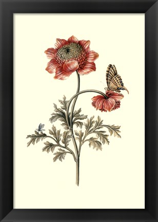 Framed Flora &amp; Fauna IV Print