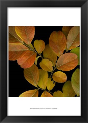 Framed Small Vivid Leaves I Print