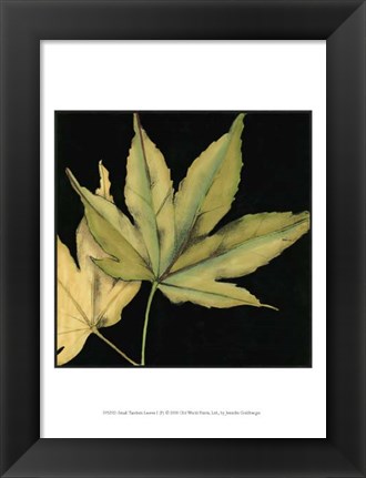 Framed Small Tandem Leaves I (P) Print