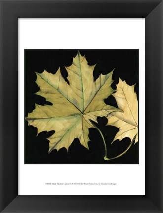 Framed Small Tandem Leaves II (P) Print