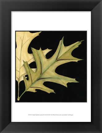 Framed Small Tandem Leaves III (P) Print