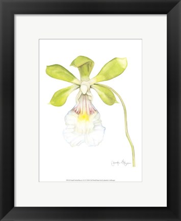 Framed Small Orchid Beauty I (U) Print