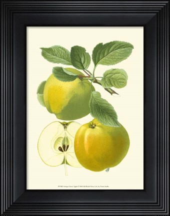 Framed Antique Green Apple Print