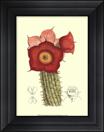 Framed Flowering Cactus II Print