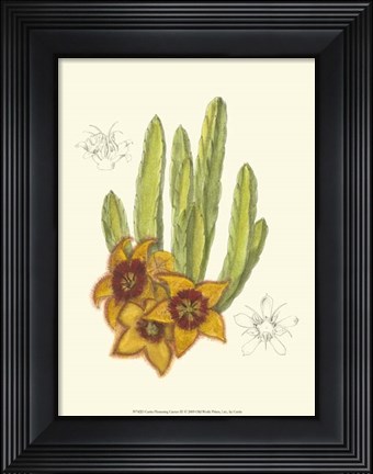 Framed Flowering Cactus III Print