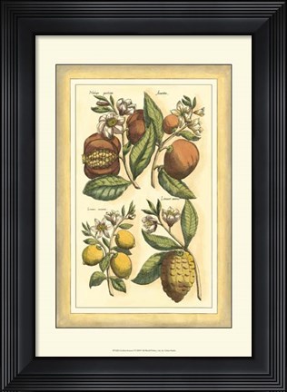 Framed Golden Season I Print