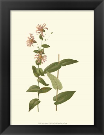 Framed Native Beauty I Print