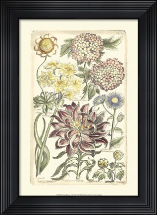 Framed Floral Bounty I Print