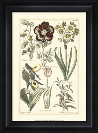 Framed Floral Bounty III Print