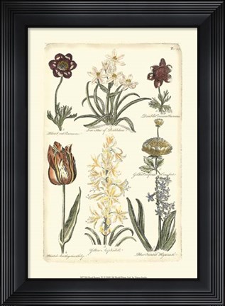Framed Floral Bounty IV Print