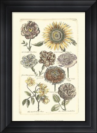 Framed Floral Bounty VI Print