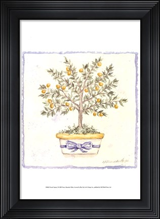 Framed French Topiary I Print