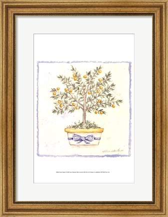Framed French Topiary I Print