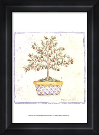 Framed French Topiary II Print