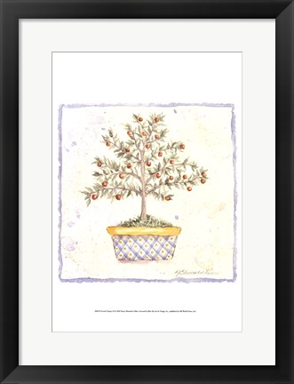 Framed French Topiary II Print