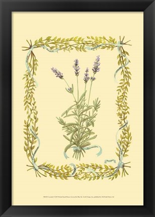Framed Lavender Print
