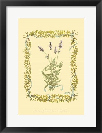 Framed Lavender Print