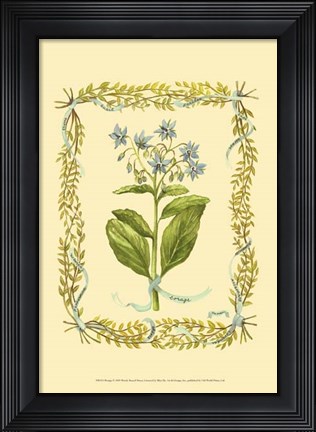 Framed Borage Print